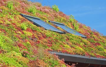 Erchless Castle living roof systems